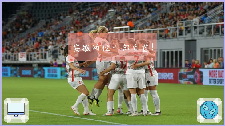 安徽两位干部自首！