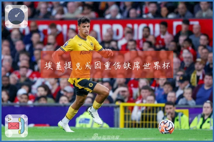 埃基提克或因重伤缺席世界杯