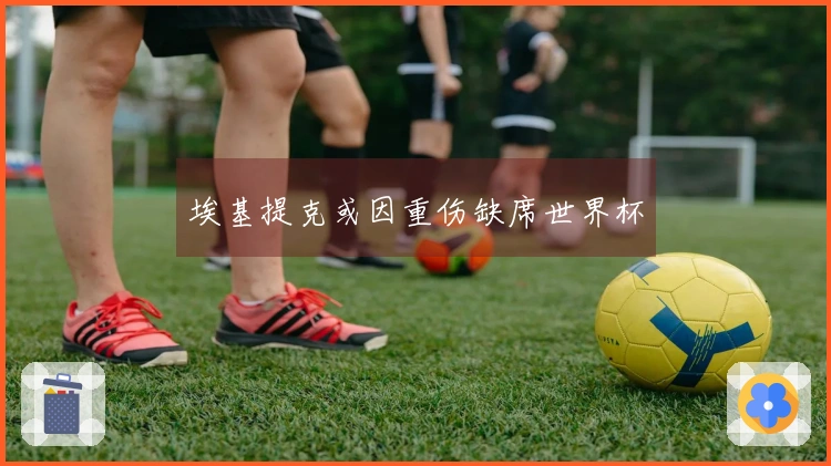 埃基提克或因重伤缺席世界杯