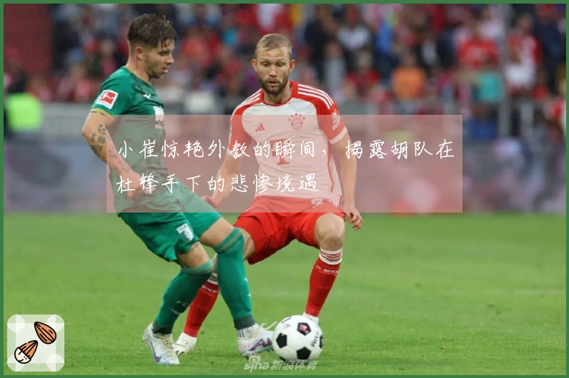 小崔惊艳外教的瞬间，揭露胡队在杜锋手下的悲惨境遇