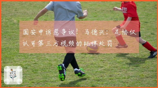 国安申诉惹争议！马德兴：足协仅认可第三方视频的纪律处罚