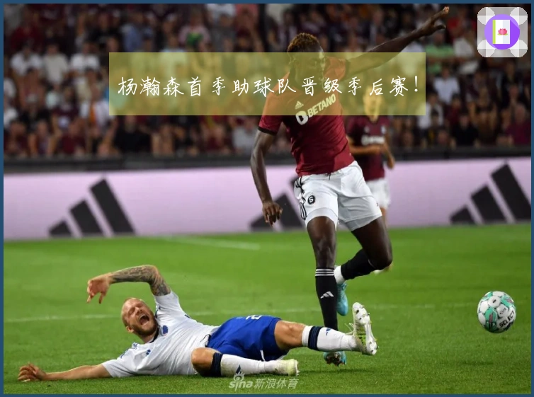 杨瀚森首季助球队晋级季后赛！